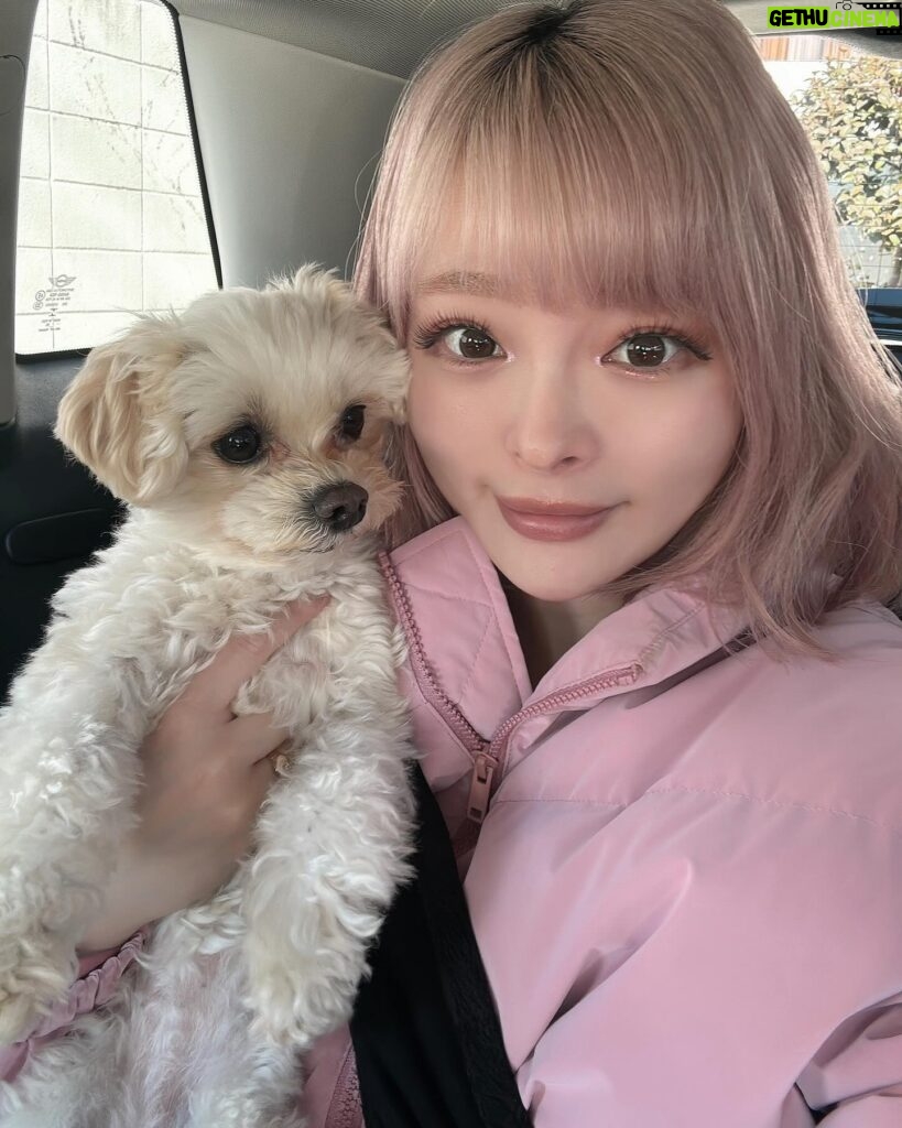 Kyary Pamyu Pamyu Instagram - 今年もよろしくね🐶