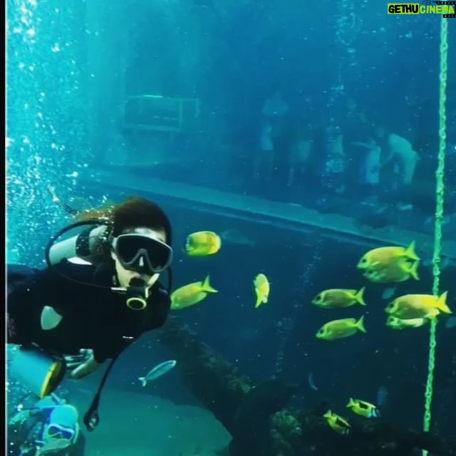 Kyoko Fukada Instagram - 水族館の水槽の中で魚の餌やりをするシーンがありました🐠魚達が餌を求めてびっくりする程追いかけて来たぁ🐟‼️❣️ #隣の家族は青く見える #ダイビングインストラクター役 #@tonarinokazoku #kyokofukada