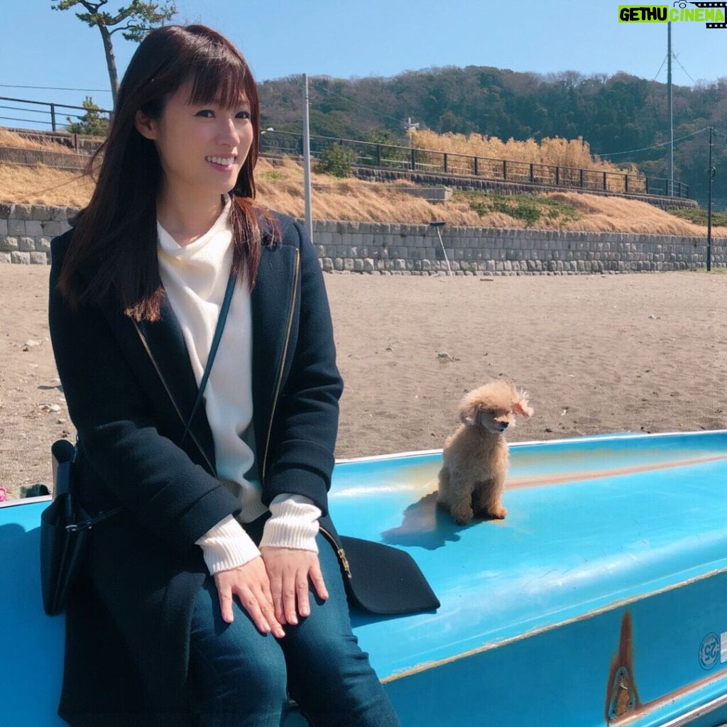 Kyoko Fukada Instagram - ドラマの撮影で海に行きました🐬 小道具で置いてあったボートの上で。だけどなんだかサーフボードにもみえる🏄‍♀️....メロン（犬）をロケに連れて来られたのは久々だったのでとても喜んでいました！（実は私も🤣）あぁまだ寒いけどそろそろ...サーフィンしたくなって来ました🐳 #隣の家族は青く見える #沢山コメントありがとうございます #今夜最終回 #kyokofukada