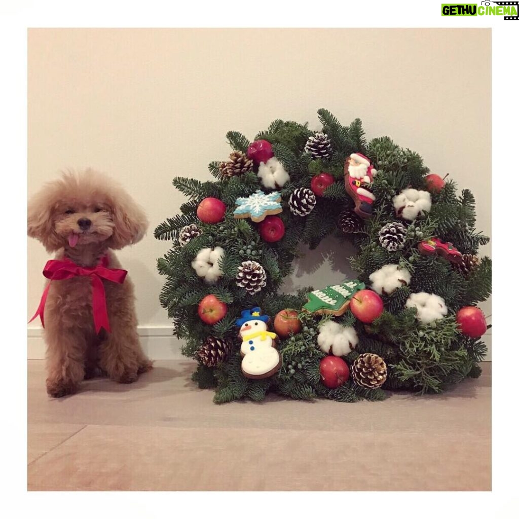 Kyoko Fukada Instagram - ⭐︎︎Merry Christmas 🎄 皆様にとって素敵な日になります様に...🎅❤️ こんな可愛い状況でこの顔...😳 前はいいお顔上手に出来たよね😅? #MelonChristmasEve #kyokofukada