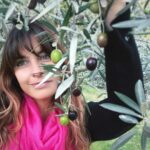 Laëtitia Milot Instagram - Symbole de longévité et de force, Badri m’a offert ce sublime olivier lorsque nous nous sommes mariés, il y a déjà 16 ans. Quelle joie de voir pousser cet arbre au fil des années, de pouvoir cueillir de délicieuses olives en famille et de parfumer nos plats ! 🫒😋 #olivier #olives #olivesmacérées #huiledolive