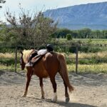 Laëtitia Milot Instagram - Une jolie série de figures pour Lyana lors de son cours de voltige ! 😍 Je crois bien que son sport préféré est l’équitation ! 🤠 Quel était votre sport préféré lorsque vous étiez enfant ? Personnellement, c’était la danse 🥰 #cheval #equitation #voltige #sport