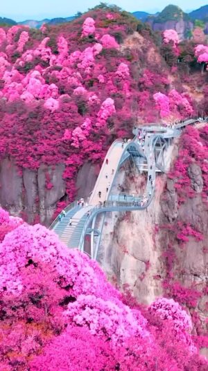 La Toya Jackson Instagram - Would you walk this? It’s beautiful but who’s afraid of #heights? I wouldn’t!
#photooftheday #instagood #beauty