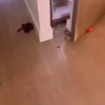 La Toya Jackson Instagram - Imagine waking up to this!!! I’m sure some of you have experienced this! #tuesdayvibe #kids #kidsfood #intagood #goodeats