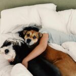 Lana Condor Instagram - lately I do be snuggling w/ the babies n eating good 🤷🏻‍♀️