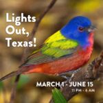 Laura Bush Instagram - The colors of spring are starting to show up across our landscapes - and in our skies! Texas is welcoming hundreds of millions of birds migrating through our state to their breeding grounds this spring. Help us create a friendly flyway for migrating birds by participating in #LightsOutTexas. Turn out all non-essential lights from 11:00 PM - 6:00 AM every night through June 15. Peak bird migration begins today on #EarthDay2023! @texanbynature @cornellbirds