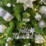 Laura Carmine Instagram – Feliz Navidad 👶🏼🎄🎅🏼🎁