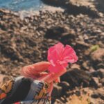 Laura Whitmore Instagram - ☀️ 🌺 🦀