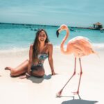 Lauren Gottlieb Instagram - FLAMINGOS!!! I’ll never be the same after this 🦩🤩 📸 @newinflux 💓 #aruba #rennaissanceisland #flamingo #flamingoisland #holiday #beach #vacation