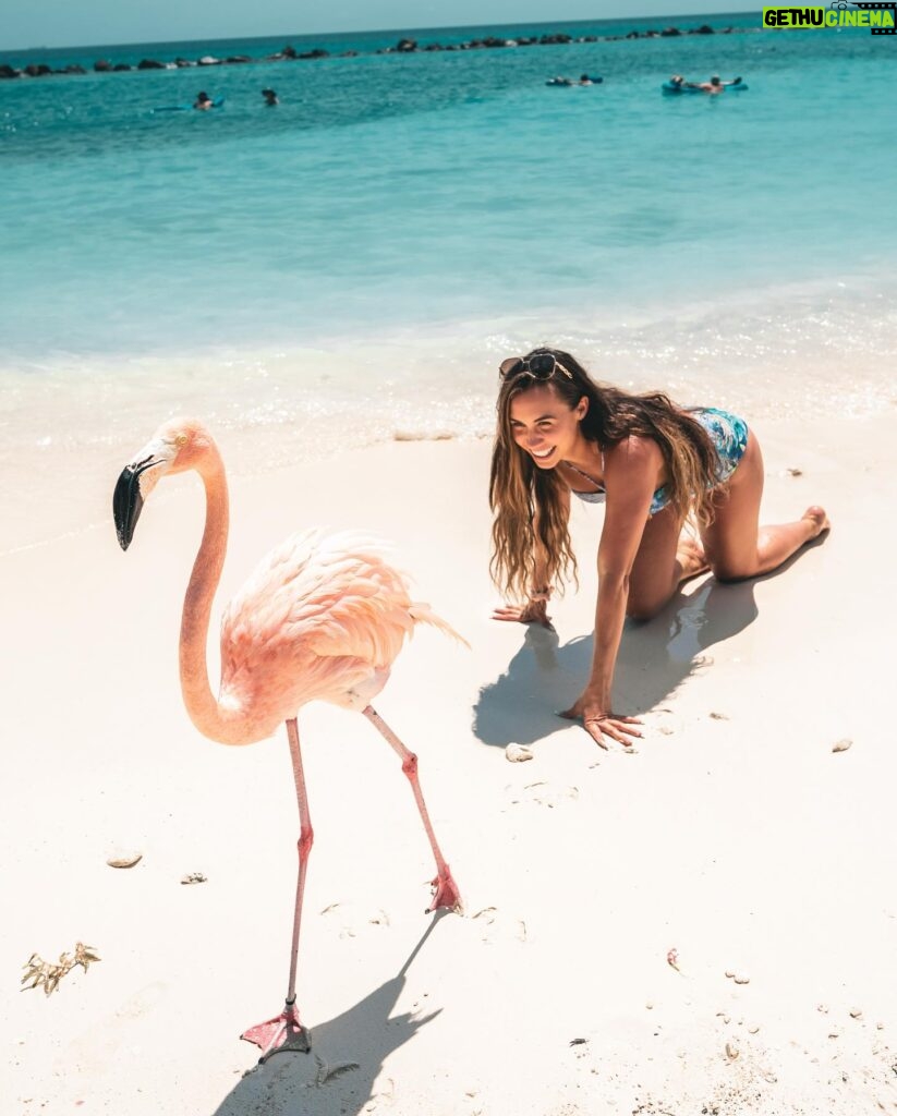 Lauren Gottlieb Instagram - FLAMINGOS!!! I’ll never be the same after this 🦩🤩 📸 @newinflux 💓 #aruba #rennaissanceisland #flamingo #flamingoisland #holiday #beach #vacation