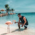 Lauren Gottlieb Instagram - FLAMINGOS!!! I’ll never be the same after this 🦩🤩 📸 @newinflux 💓 #aruba #rennaissanceisland #flamingo #flamingoisland #holiday #beach #vacation