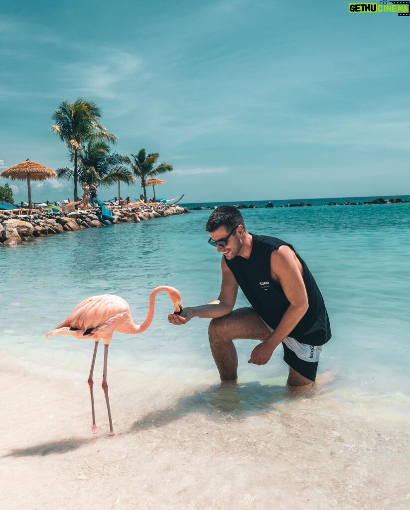 Lauren Gottlieb Instagram - FLAMINGOS!!! I’ll never be the same after this 🦩🤩 📸 @newinflux 💓 #aruba #rennaissanceisland #flamingo #flamingoisland #holiday #beach #vacation
