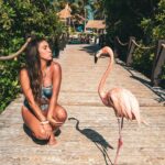 Lauren Gottlieb Instagram - FLAMINGOS!!! I’ll never be the same after this 🦩🤩 📸 @newinflux 💓 #aruba #rennaissanceisland #flamingo #flamingoisland #holiday #beach #vacation