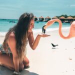 Lauren Gottlieb Instagram - FLAMINGOS!!! I’ll never be the same after this 🦩🤩 📸 @newinflux 💓 #aruba #rennaissanceisland #flamingo #flamingoisland #holiday #beach #vacation
