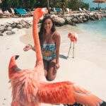 Lauren Gottlieb Instagram - FLAMINGOS!!! I’ll never be the same after this 🦩🤩 📸 @newinflux 💓 #aruba #rennaissanceisland #flamingo #flamingoisland #holiday #beach #vacation