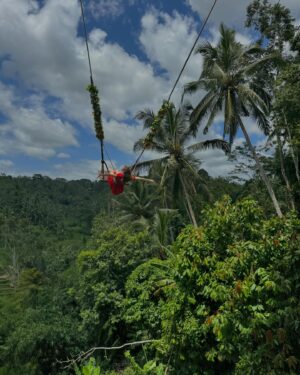 Lauren Lindsey Donzis Instagram - can’t (bali)eve my eyes