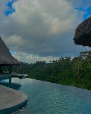 Lauren Lindsey Donzis Instagram - can’t (bali)eve my eyes