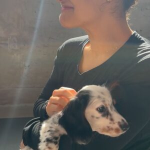 Laurie Hernandez Instagram - we did puppy yoga yesterday. it was awesome