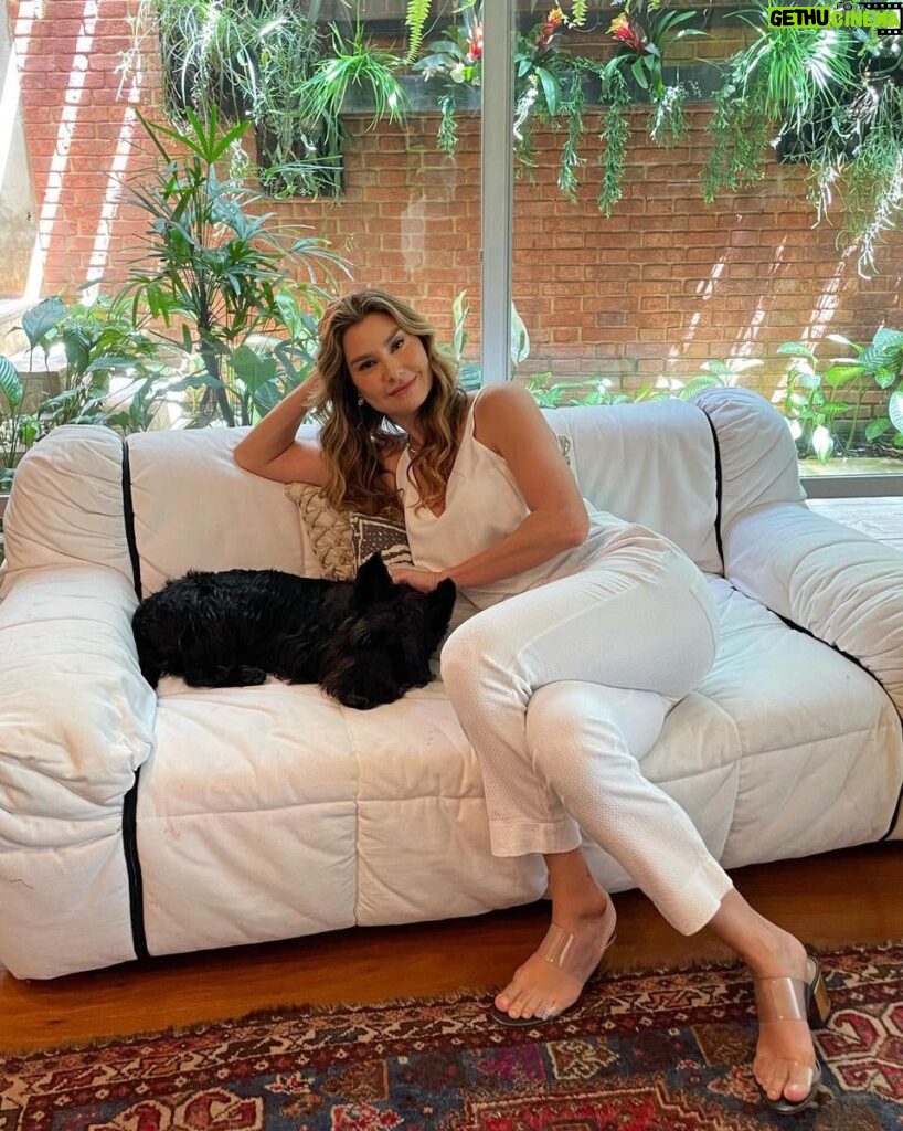 Lavínia Vlasak Instagram - Um #Tbt com Bolt, só porque meu cão é um gato! Quer dizer: lindo 😜❤️