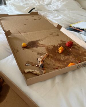Leïla Bekhti Instagram - À Cannes j’ai :
- réfléchi visiblement 
- j’étais trop heureuse de retrouver des gens que j’aime 
- j’ai eu la chance de manger des pizzas 
- je me suis allongée sur un balcon 
- j’ai imité l’une de mes actrices préférées 
- j’étais avec des teams de rêve 
- j’ai assisté au dîner lights on women et c’est FATIMA KACI qui s’est distinguée avec son court métrage 
- j’ai croisé un des personnages de « je verrai toujours vos visages » mais qui?
- et on s’est pris pour Eminem pendant 30 secondes avec Adèle, je pensais qu’elle connaissait les paroles , j’ai été prise d’une jalousie profonde mais finalement elle faisait du Yahourt comme moi , du coup j’ai été hyper rassurée . 

.
Et évidemment bravo à Justine Triet et toute son équipe pour cette palme 💘