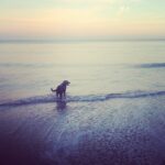 Leah Jenner Instagram - Happy guy