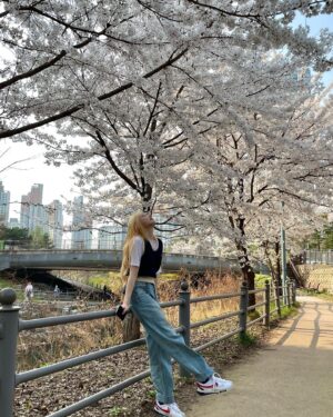 Lee Chae-yeon Instagram - 기분이 노랑노랑💛
내 머리 노랑노랑👩🏼
꽃도 노랑노랑🌼