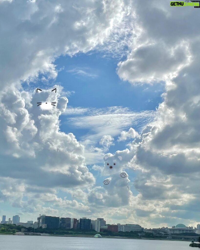 Lee Chae-yeon Instagram - 냥구름☁️곰구름☁️