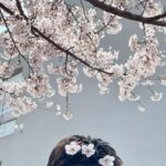 Lee Dong-wook Instagram - 벚꽃 예쁘다🌸🩷
