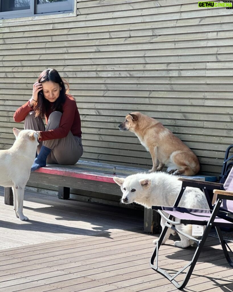 Lee Hyo-ri Instagram - 날이 따땃🌱