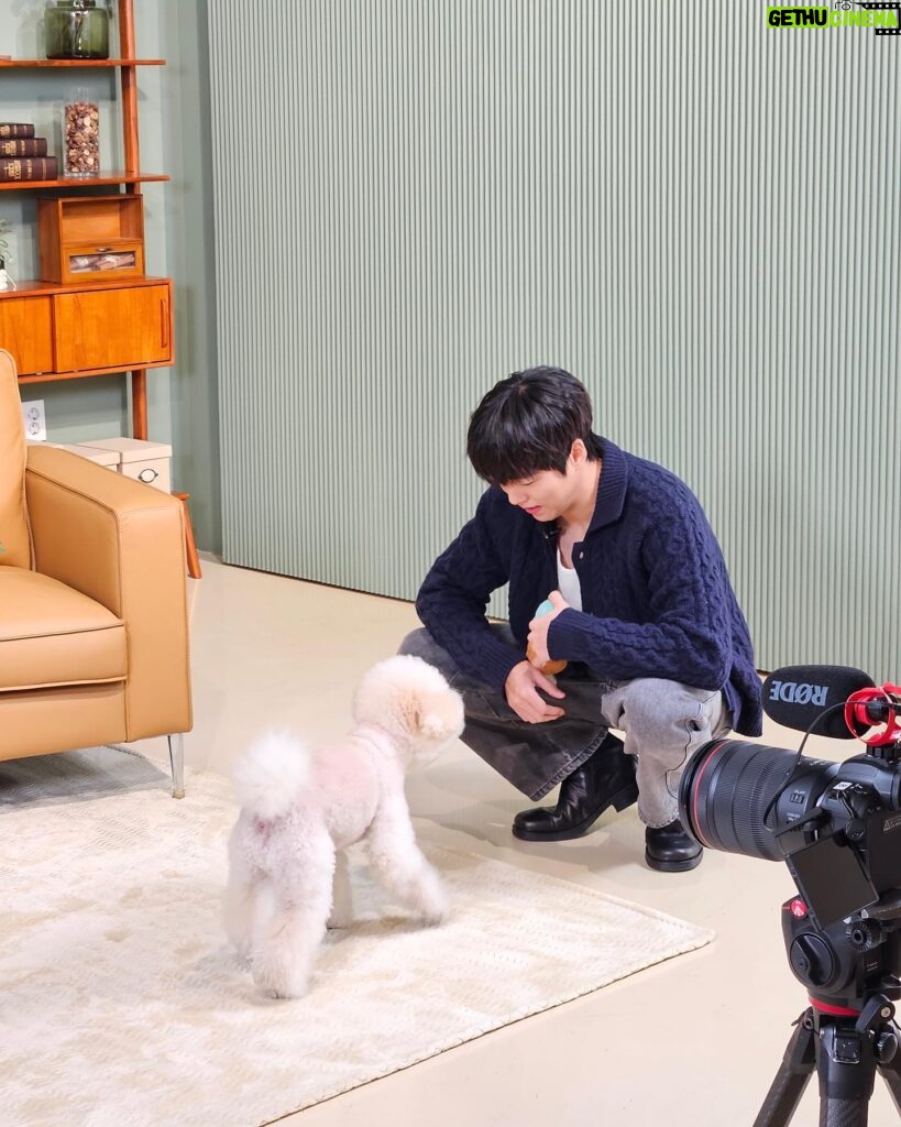 Lee Hyun-woo Instagram - 하늘이랑 도그데이즈🐶 #도그데이즈 #2월7일개봉