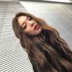Lee Na-gyung Instagram – 푸들 🐾