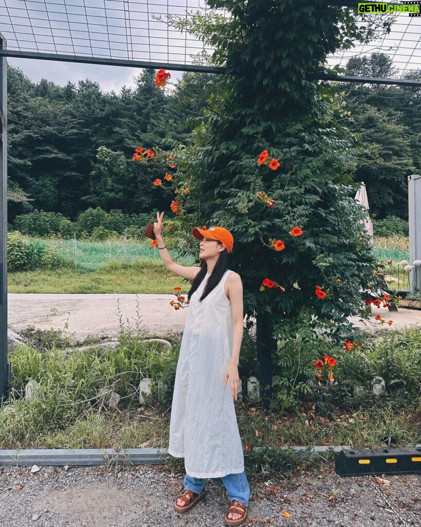 Lee Sun-bin Instagram - 🌺📸