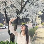 Lee Yu-bi Instagram - 밤 벚꽃🌸💕