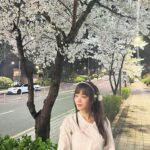 Lee Yu-bi Instagram - 밤 벚꽃🌸💕
