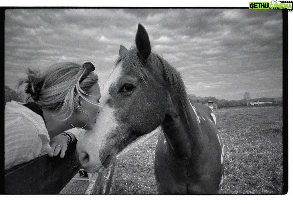 Lennon Stella Instagram - don’t forget to stop n smell the horses