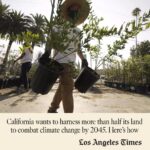 Leonardo DiCaprio Instagram - California has announced a 20-year plan to transform over 60 million acres of land across the state into multi-benefit landscapes that can absorb more carbon than they release. This ambitious plan will help combat the worsening climate crisis with nature-based solutions. California is committed to transforming half of its land into newly protected forests, grasslands, chaparral, deserts and even sustainable urban environments. This tremendous commitment to combat the climate crisis is an exciting model for the state, for the country, and for the rest of the world. Learn more by visiting the link in bio. Photo credit: Genaro Molina / Los Angeles Times