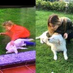 Leyla Tanlar Instagram – 15 years later, still my best friend ❤️