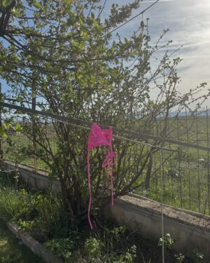 Liberta Spahiu Instagram - Disa gjëra t’përditshmërisë… ☺️ 
Hane-dille!