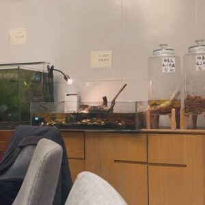 Lilas Ikuta Instagram - memories in 天津＆杭州🤍

➀服に合わせて二つお団子ヘア🍡
➁激うま火鍋🥘
➂大好物の小籠包🥟
➃シャボン玉てっぽう大🫧
➄雨避け付きてるてる坊主®️ikura
➅本当に止めてくれてありがとうパシャリ📷
➆歩き回るカメさん🐢
➇あなたはクマなの❔パンダなの❔
➈選ばれたのはこちらのパンダでした🐼
⑩揚げパンの断面が肉球🐾