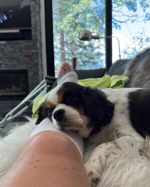 Lindsey Vonn Instagram - I’ve been bruised and broken but I’ve always come out the other side a better person. No matter how many times I fell, I always got back up. I didn’t do it alone though. I am so thankful to have had the support of friends, family and you guys, my fans. Knowing I had people supporting me helped me in my darkest hours. Every day I tried to put one foot in front of the other until it eventually got me back to where I wanted to go… which was usually the top of the mountain 🏔️ 😍 We are all on our own paths, but if you’re injured or going through a hard time, believe in yourself and know that you will come out of it a better and stronger person. You got this 💪🏻