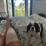 Lindsey Vonn Instagram - Dogs are the best medicine in times like these… I adopted Leo right before my 2nd ACL surgery and he’s been with me through all my surgeries since. Leo was hit by a car before I adopted him and he’s got almost as many screws in his leg as I do. He never likes it when I cry but he always knows when I’m hurt and he doesn’t leave my side. I think he knows what it feels like. Just thankful I have my pups ❤️🐶