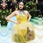 Lisa Rinna Instagram - Leave it to @how.meme.you to make sure I was at the Met Gala ❤️🌼💐🩷😂😂😂