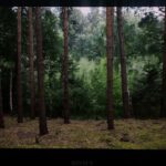 Lisa Vicari Instagram - I am still trying to process this incredible experience of directing my first short !! this project has been on my mind and in development for over two years and finally came to life this summer. This wouldn’t have been possible without the enormous support of my crew (love you guys), my talented cast (thank you Hannah, Sebastian, Saskia & Otto) and people in the industry who believed in this film. I am deeply moved by the support I received in the past couple months and weeks from companies like @arri_rental , @basisberlinpost, @wellensteinfundus @panoptimogmbh @studiobabelsberg @theweinmeister_berlinmitte #darkways … and from friends and mentors like @baranboodar #jantjefriese #philippklausing @esthibusch #NoraMarkwald @lena_stahl_official and so many more. Special thanks to @nina.rei 🎈 Without them and their willpower to support me and my ambitions to direct, this wouldn’t have been possible. So thank you, thank you, thank you!! Now I will disappear into the edit room 🏃🏼 photos by @jakob.fliedner werbung