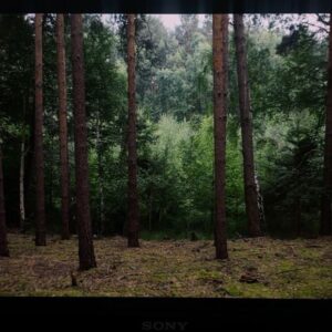 Lisa Vicari Instagram - I am still trying to process this incredible experience of directing my first short !!

this project has been on my mind and in development for over two years and finally came to life this summer. This wouldn’t have been possible without the enormous support of my crew (love you guys), my talented cast (thank you Hannah, Sebastian, Saskia & Otto) and people in the industry who believed in this film.

I am deeply moved by the support I received in the past couple months and weeks from  companies like @arri_rental , @basisberlinpost, @wellensteinfundus @panoptimogmbh @studiobabelsberg @theweinmeister_berlinmitte #darkways … and from friends and mentors like @baranboodar #jantjefriese #philippklausing @esthibusch #NoraMarkwald @lena_stahl_official and so many more. Special thanks to @nina.rei 🎈

Without them and their willpower to support me and my ambitions to direct, this wouldn’t have been possible.

So thank you, thank you, thank you!!

Now I will disappear into the edit room 🏃🏼

photos by @jakob.fliedner 

werbung