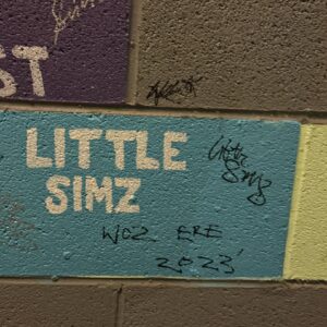Little Simz Thumbnail - 110.7K Likes - Most Liked Instagram Photos