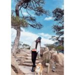 Liu Yifei Instagram -