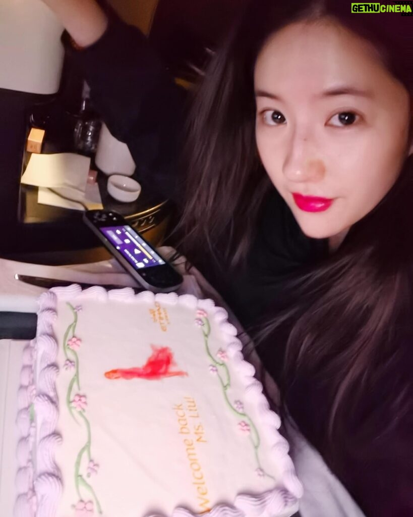 Liu Yifei Instagram - Came to Abu Dhabi to film a commercial for the new season. Thanks to @visitabudhabi and Etihad Airways for the warm welcome cake and the amazing bag created by local artisans. I really loved it!