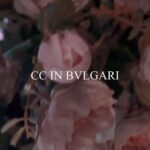 Liu Yifei Instagram - @bulgari #bulgarihighjewelry #bulgarimediterranea #bulgari