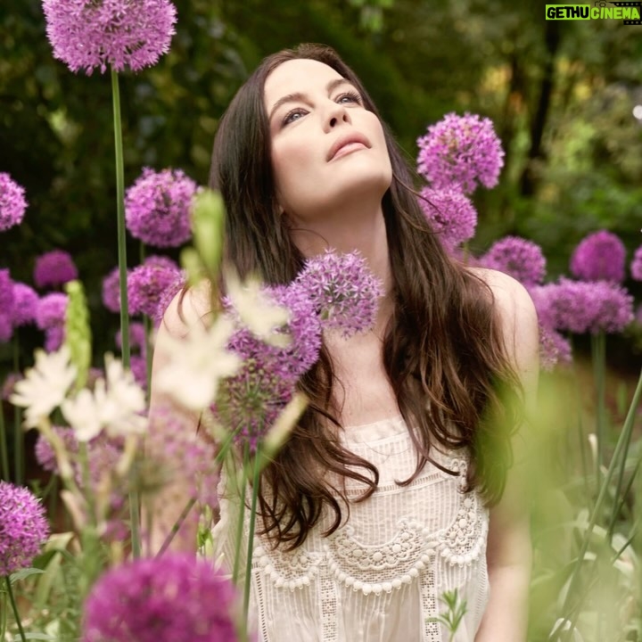 Liv Tyler Instagram - April showers bring May flowers 💗 @marymccartney thank you for this beautiful day at Friar Park… a few springs ago… how grateful to spend this day there with you…. @thelovemagazine 📸 @marymccartney