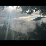 Liv Tyler Instagram - Morning from the mountains 💗